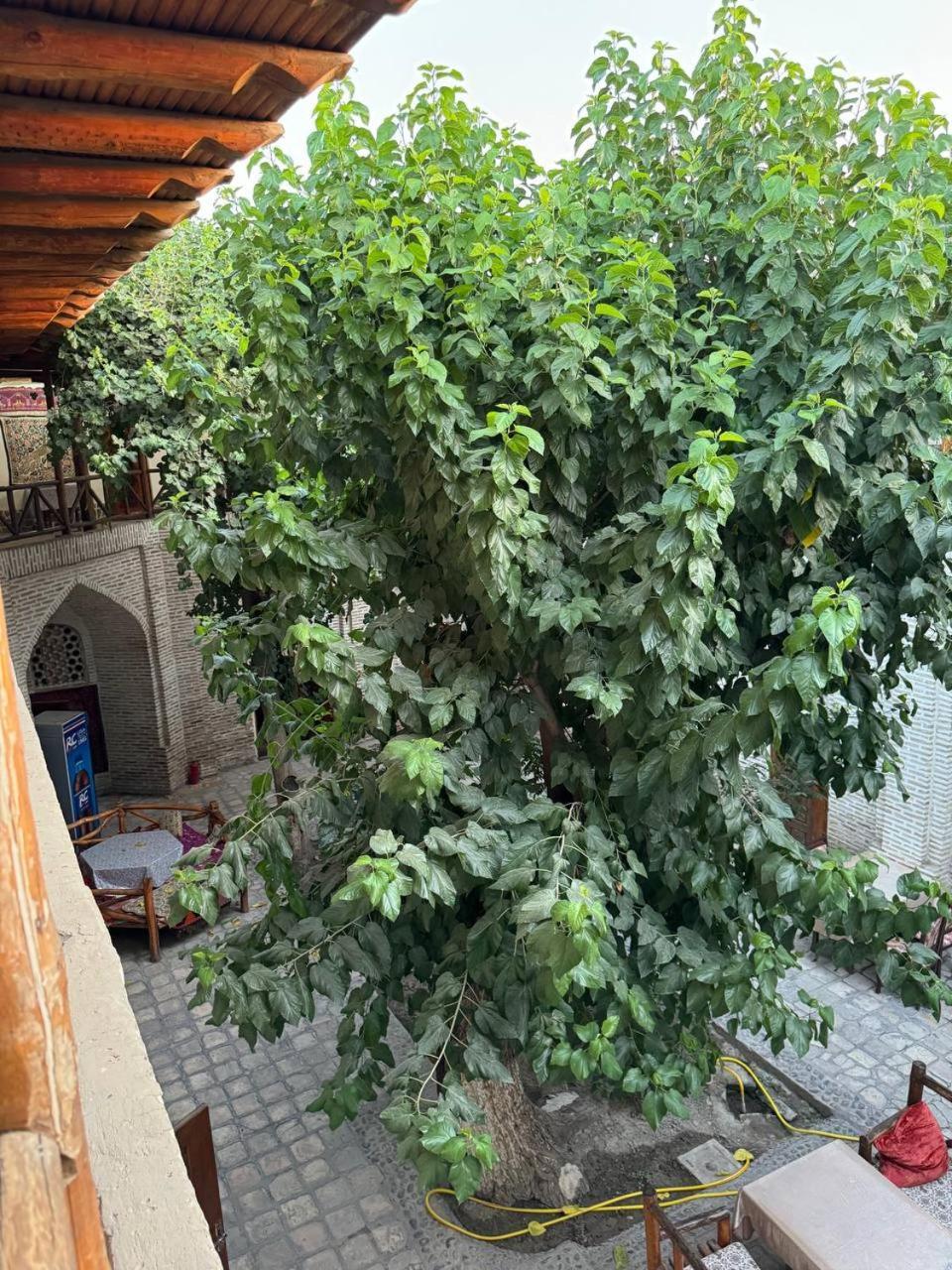 Ohun 18Th Century Caravansarai Buhara Exterior foto